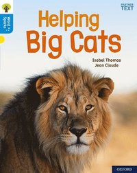 bokomslag Oxford Reading Tree Word Sparks: Level 3: Helping Big Cats