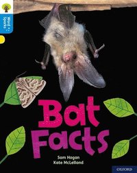 bokomslag Oxford Reading Tree Word Sparks: Level 3: Bat Facts