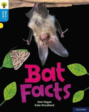 Oxford Reading Tree Word Sparks: Level 3: Bat Facts 1