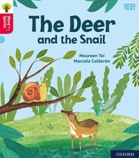 bokomslag Oxford Reading Tree Word Sparks: Level 4: Little Deer and the Snail