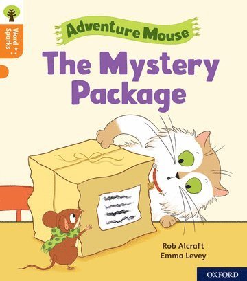 Oxford Reading Tree Word Sparks: Level 6: The Mystery Package 1