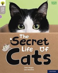 bokomslag Oxford Reading Tree Word Sparks: Level 1: The Secret Life of Cats