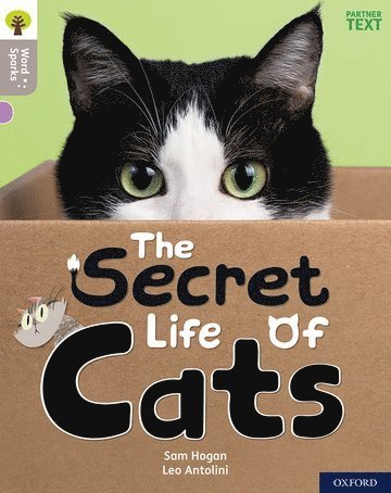 Oxford Reading Tree Word Sparks: Level 1: The Secret Life of Cats 1