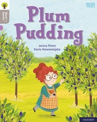 bokomslag Oxford Reading Tree Word Sparks: Level 1: Plum Pudding