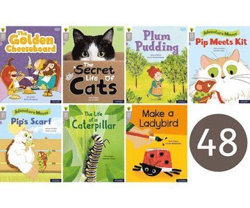 bokomslag Oxford Reading Tree Word Sparks: Level 1: Class Pack of 48