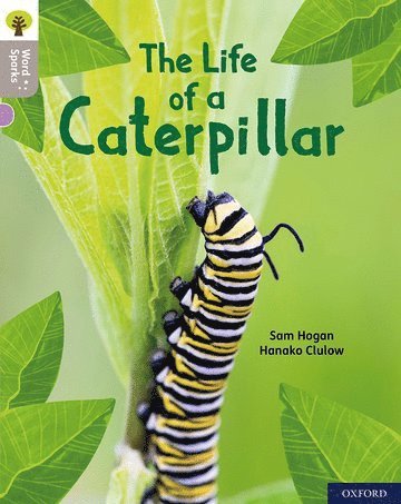 Oxford Reading Tree Word Sparks: Level 1: The Life of a Caterpillar 1