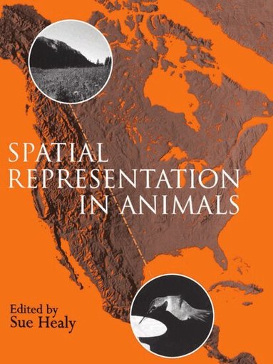 Healy, Sue Healy - Spatial Representation in Animals, Häftad