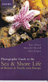 bokomslag Photographic Guide to Sea and Shore Life of Britain and North-West Europe