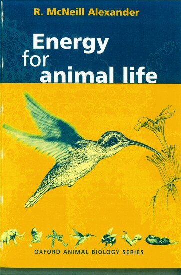 R. McNeill Alexander - Energy for Animal Life, Häftad