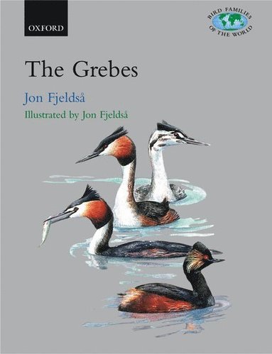 bokomslag The Grebes