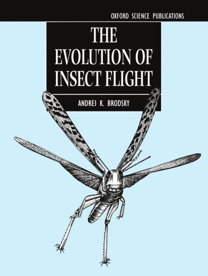 The Evolution of Insect Flight