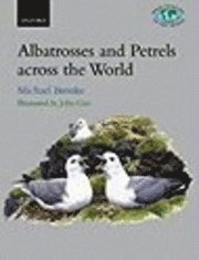 bokomslag Albatrosses and Petrels Across the World