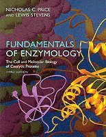 bokomslag Fundamentals of Enzymology