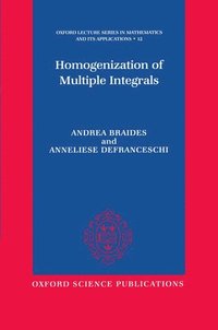 bokomslag Homogenization of Multiple Integrals