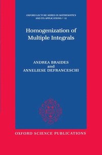 bokomslag Homogenization of Multiple Integrals