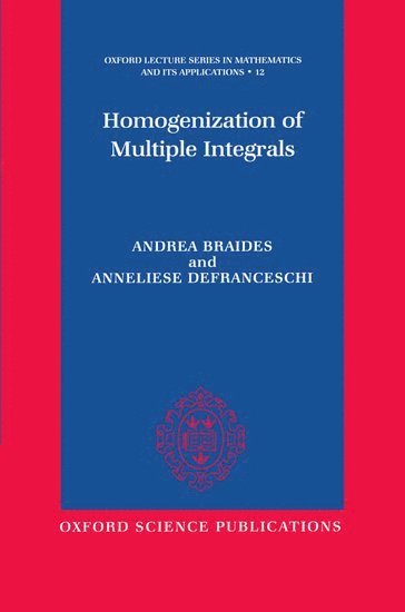 bokomslag Homogenization of Multiple Integrals