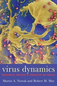 bokomslag Virus Dynamics