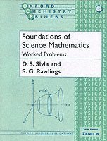 bokomslag Foundations of Science Mathematics: Worked Problems