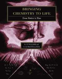 bokomslag Bringing Chemistry to Life