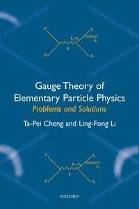 bokomslag Gauge Theory of Elementary Particle Physics: Problems and Solutions