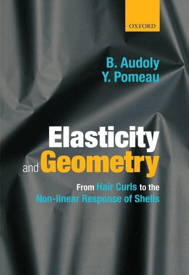 Basile Audoly, Yves Pomeau - Elasticity and Geometry, Inbunden