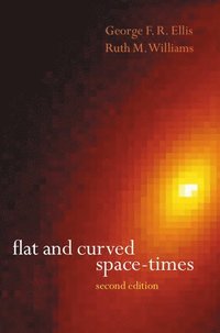 bokomslag Flat and Curved Space-Times