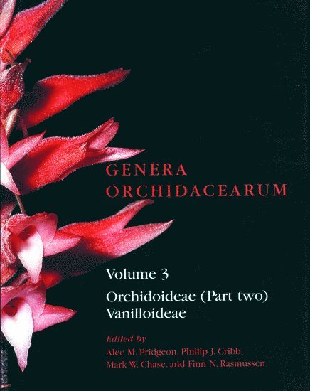 Genera Orchidacearum Volume 3 1