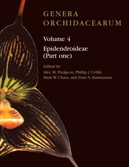 Genera Orchidacearum Volume 4 1