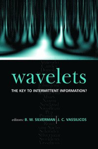 bokomslag Wavelets: the Key to Intermittent Information?