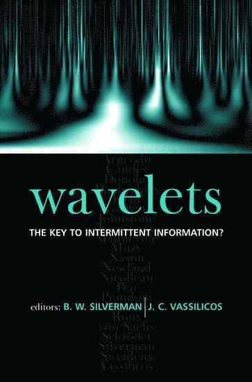 bokomslag Wavelets: the Key to Intermittent Information?