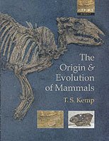 bokomslag The Origin and Evolution of Mammals