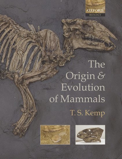 The Origin and Evolution of Mammals 1