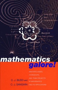 bokomslag Mathematics Galore!