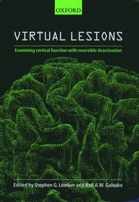 bokomslag Virtual Lesions