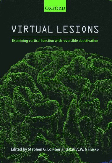 Virtual Lesions 1