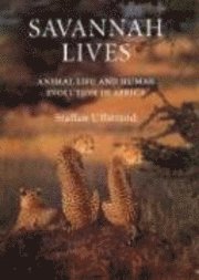 bokomslag Savannah Lives: Animal Life and the Human Evolution of Africa