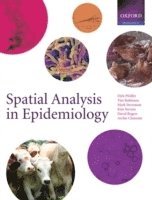 bokomslag Spatial Analysis in Epidemiology