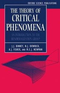 bokomslag The Theory of Critical Phenomena