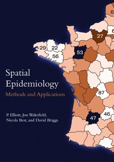 bokomslag Spatial Epidemiology