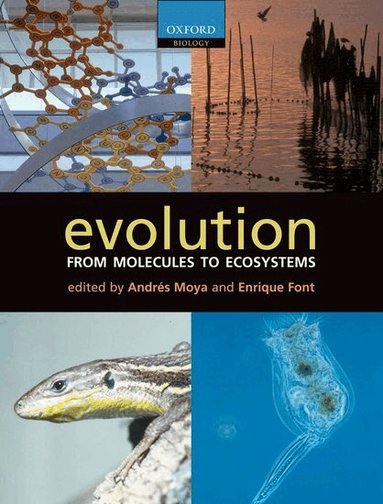Andres Moya, Enrique Font - Evolution, Häftad
