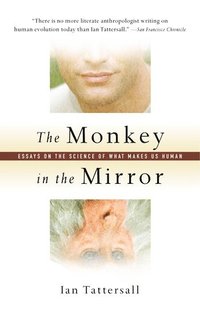 bokomslag The Monkey in the Mirror