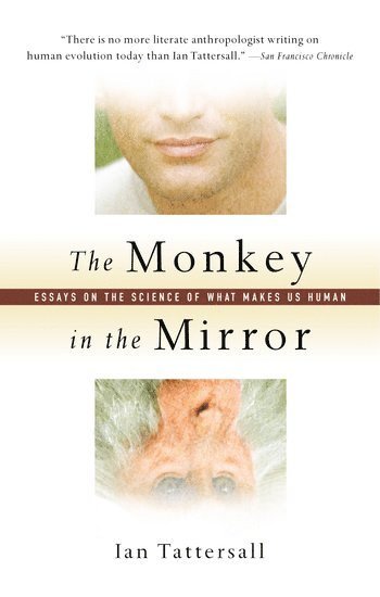 The Monkey in the Mirror 1