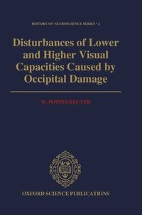 bokomslag Disturbances of Lower and Higher Visual Capacities Caused by Occipital Damage