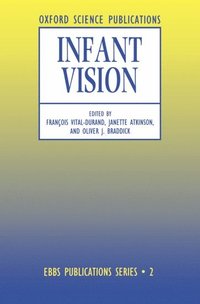 bokomslag Infant Vision