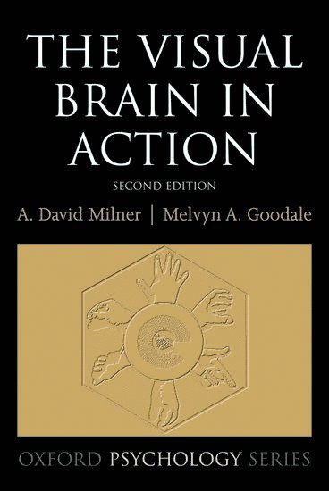 The Visual Brain in Action