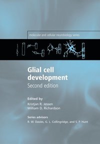 bokomslag Glial Cell Development