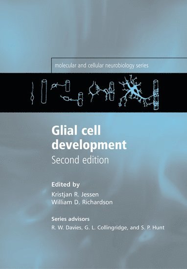 Glial Cell Development 1