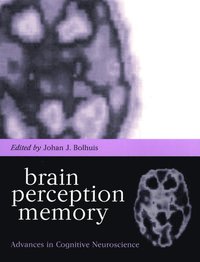 bokomslag Brain, Perception, Memory