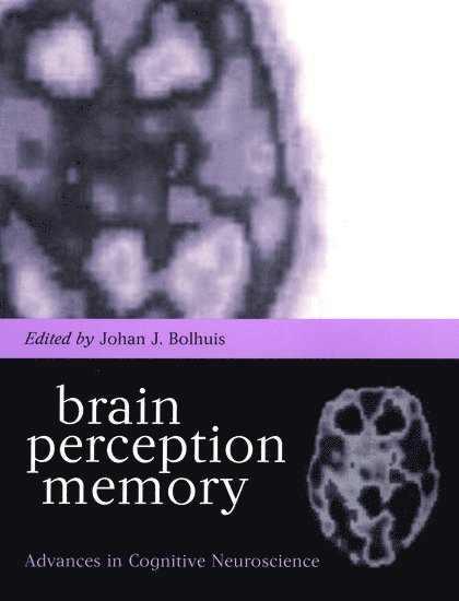 Brain, Perception, Memory 1