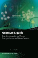 bokomslag Quantum Liquids